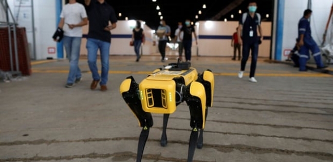 روبوت الكلب الأصفر