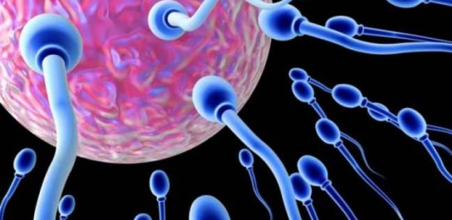 اكتشاف بكتيريا تحدد خصوبة الرجال لأول مرة