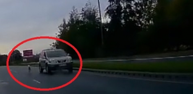 البحث عن سائق قاسي كان يسحب كلبه من نافذة سيارته أثناء السير