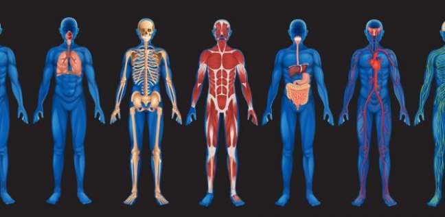 5 حقائق غريبة عن جسم الإنسان
