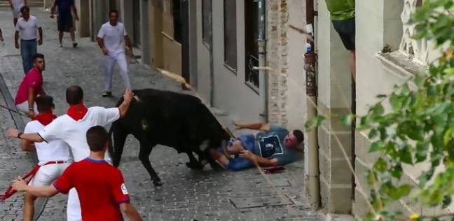 ثور يهاجم رجل في مهرجان أسباني بسبب "هاتف اللوحي"