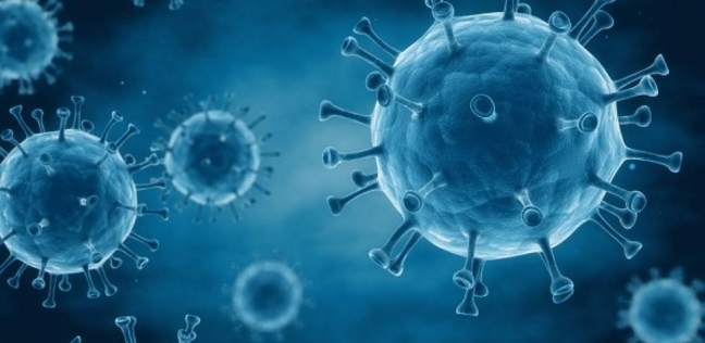 استخدام فيروس coxsackievirus لعلاج السرطان _صورة أرشيفية