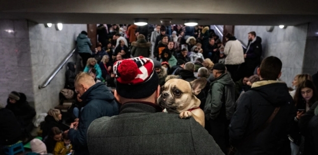 سكان أوكرانيا رفقة حيواناتهم الأليفة