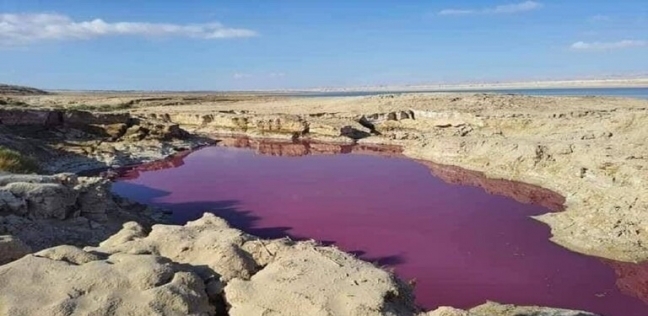 بركة باللون الأحمر في البحر الميت