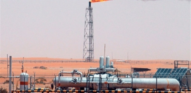 البترول .. ركيزة مصرية ومنطلق لزيادة التعاون مع الدول الأفريقية - اقتصاد - 