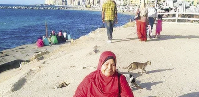 "حنان" تطعم 300 قطة على كورنيش الإسكندرية