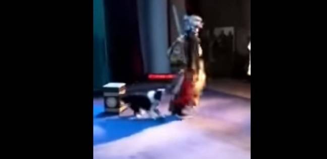 كلب يهاجم ممثلا أثناء أدائه دوره على المسرح بشكل طريف