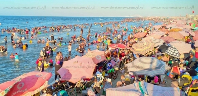 ظهور ديدان في شاطئ بالإسكندرية