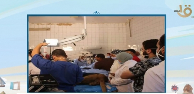 لقطة من إتمام الجراحة لأسد حديقة الحيوان