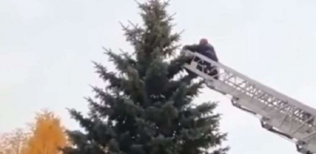 إنقاذ طالب أجنبي علق على قمة شجرة في روسيا