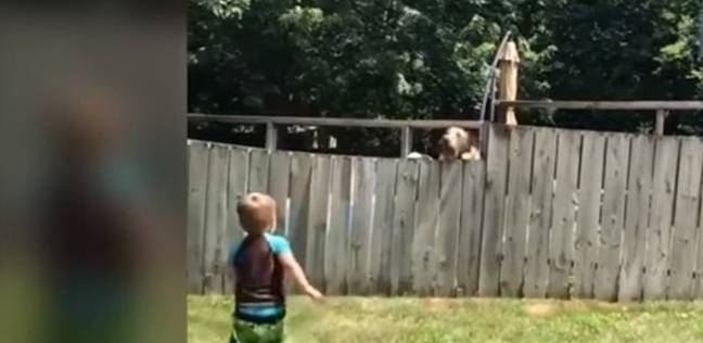 طفل يلهو مع كلب جارته بشكل ظريف يحقق ملايين المشاهدات