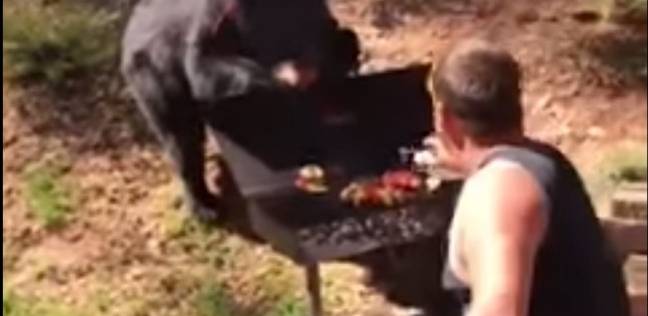 فيديو| رجل يصارع دب ضخم من أجل وليمة شواء