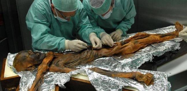 العلماء يكتشفون آخر وجبة تناولا صاحب جثة عمرها 5300 سنة