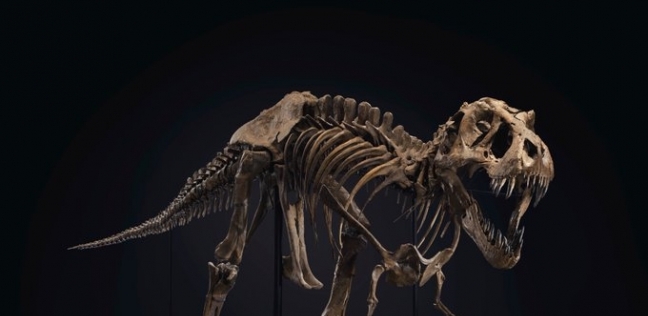 هيكل الديناصور الذي حقق أكثر من 499 مليون جنيه