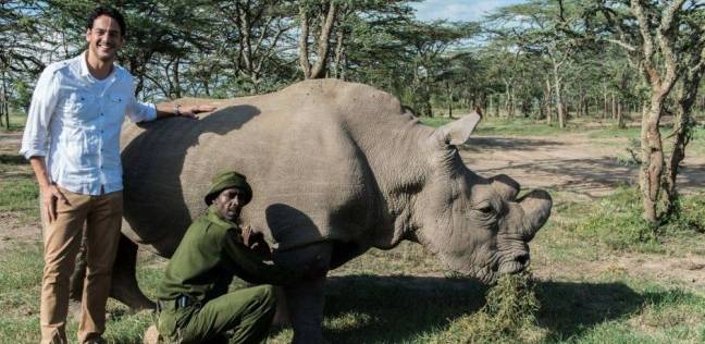 رحيل "سودان" أخر وحيد القرن الشمالي الأبيض