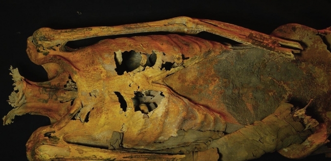 إحدى المومياوات المصرية القديمة التي تحمل أوشاماًز