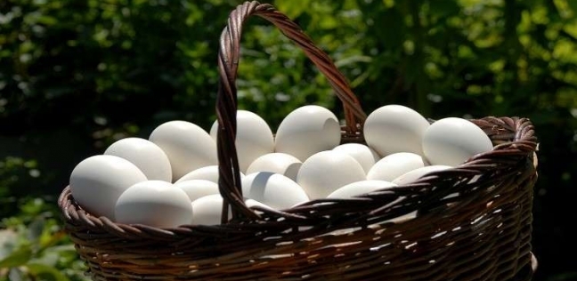 اكتشاف بيض دجاج سليم القشر عمره 2500 سنة فى مقبره 
