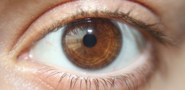 ماهي قاعدة «20»؟ .. ينصح بها الخبراء لحماية العين من الأمراض والالتهاب