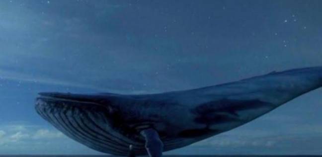 لعبة الحوت الازرق