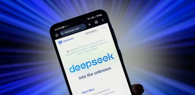 DeepSeek