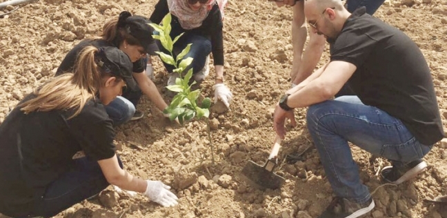 المشاركون فى الحملة أثناء زراعة إحدى الشتلات