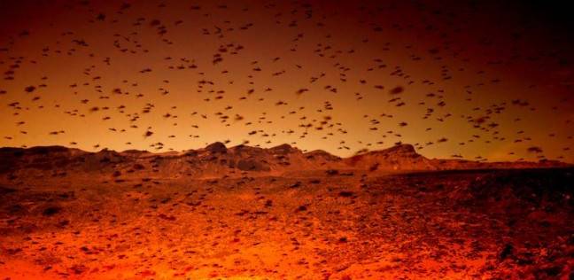 "ناسا" تنوي استكشاف المريخ بسرب من النحل