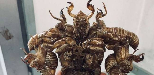 بالصور| طالب ياباني يصنع تماثيل من الحشرات