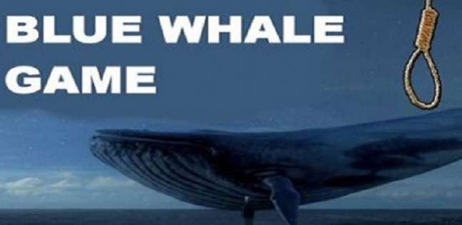 فيديو وصور| من الحوت الأزرق إلى تحدي الموت.. الألعاب تقتل أحيانا
