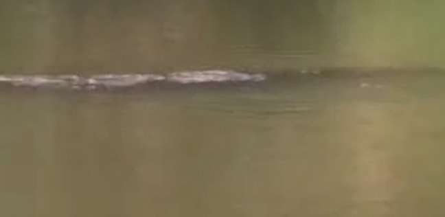 رصد سكان قرية صينية ظهور مخلوق غريب في إحدى بحيرات المياه
