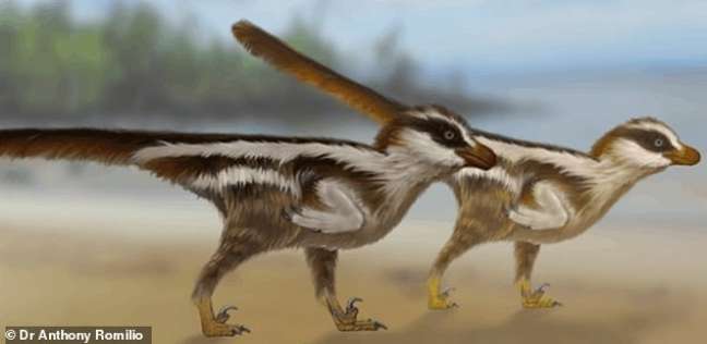 في حجم عصفور.. اكتشاف آثار أقدام لأصغر ديناصور في العالم