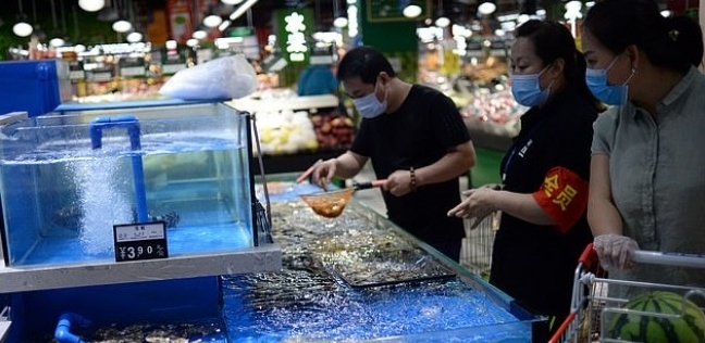 سوق المأكولات البحرية في بكين هو المتهم الأول