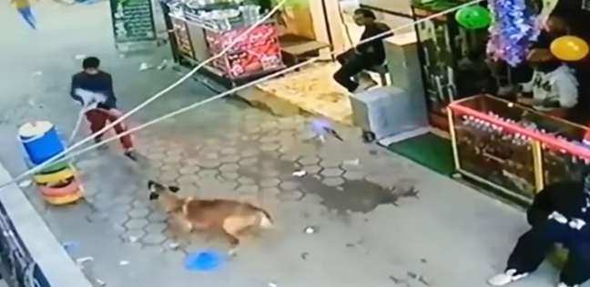 شخص يروع المواطنين باستخدام كلبه «فيديو»
