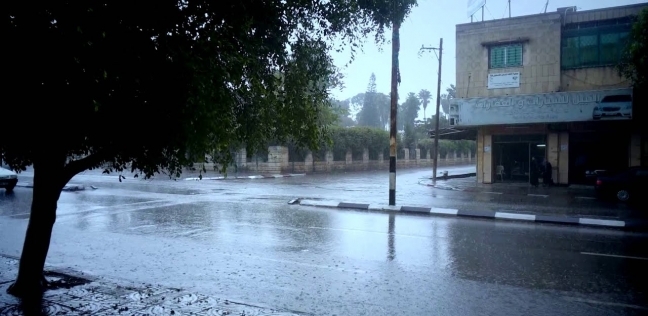 الأمطار في غزة