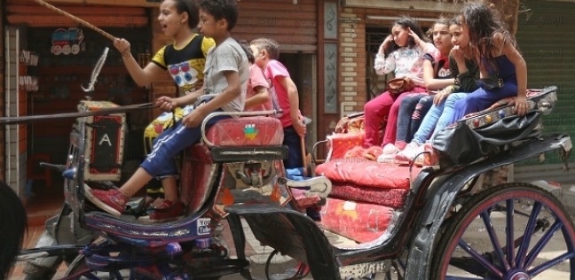 أطفال يركبون عربة «الحنطور» دون وسائل أمان