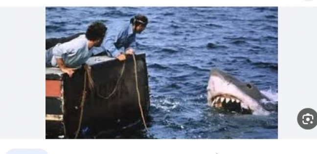 القرش بالأفلام السينمائية- تعبيرية