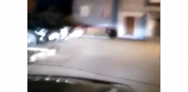 مطاردة دب دخل أحد الأحياء السكنية في مدينة روسية