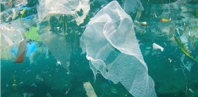 المخلفات البلاستيكية غير قابلة للتحلل تهدد الحياة البحرية