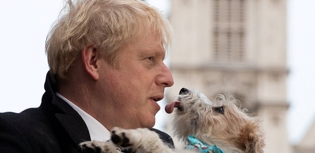 إصابة كلب رئيس وزراء بريطانيا بفيروس كورونا