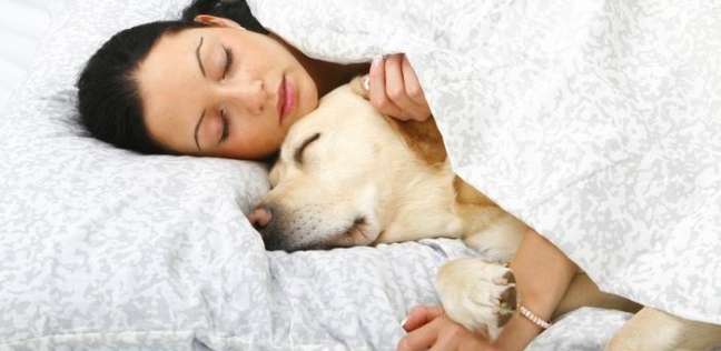 دراسة: النساء يفضلن النوم بجانب الحيوانات الأليفة على الرجال