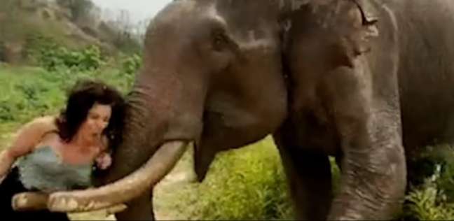 لحظة هجوم الفيل على الفتاة