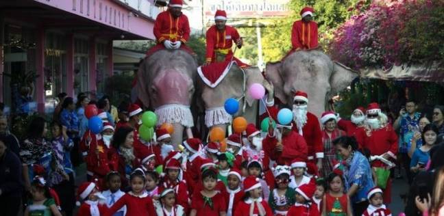 أفيال ترتدي زي بابا نويل في مدرسة تايلاندية