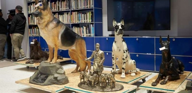 متحف الكلاب