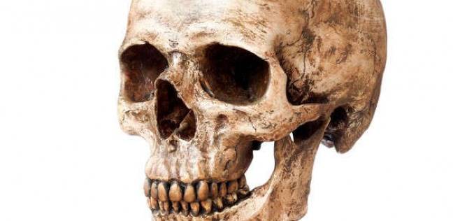 العلماء يكتشفون ضحية لتسونامي عمرها 6 آلاف عام