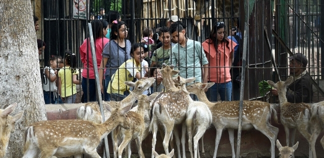 استقبال حديقة الحيوان للمواطنين