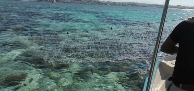 "البيئة": ضبط كمية كبيرة من شباك الصيد المخالفة حول شعاب مرجانية بـ"الغردقة"