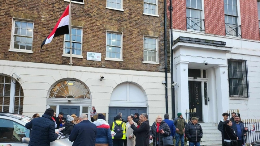 مصريون أمام السفارات بالخارج