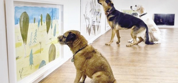 لوحات فنية تحفز الكلاب على التفاعل