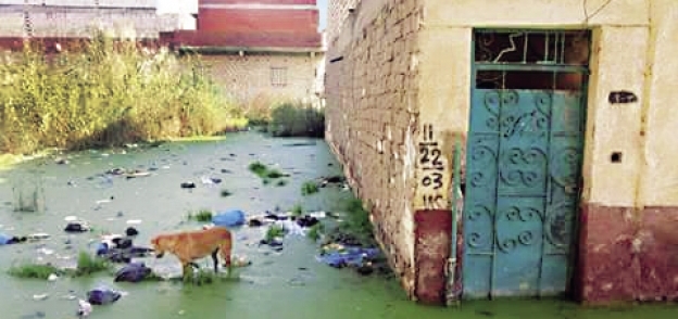 منازل زاوية «عبدالقادر» تغرق فى مياه الصرف الصحى