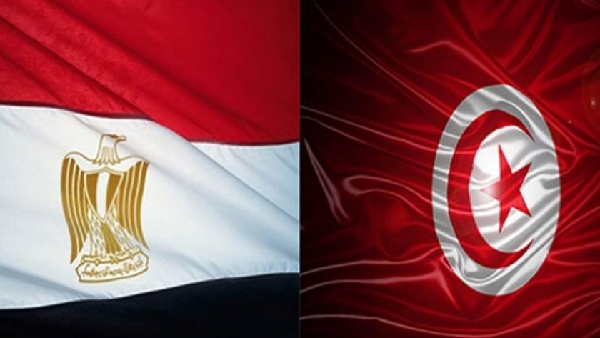 العلاقات المصرية التونسية