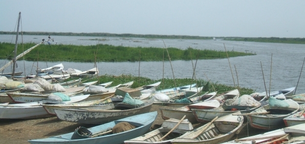 أمنيات كبيرة للصيادين يحققها تطوير البحيرة